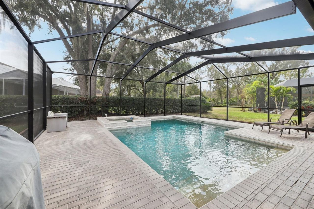 12606 River Birch Drive, Riverview, FL 33569 Photo