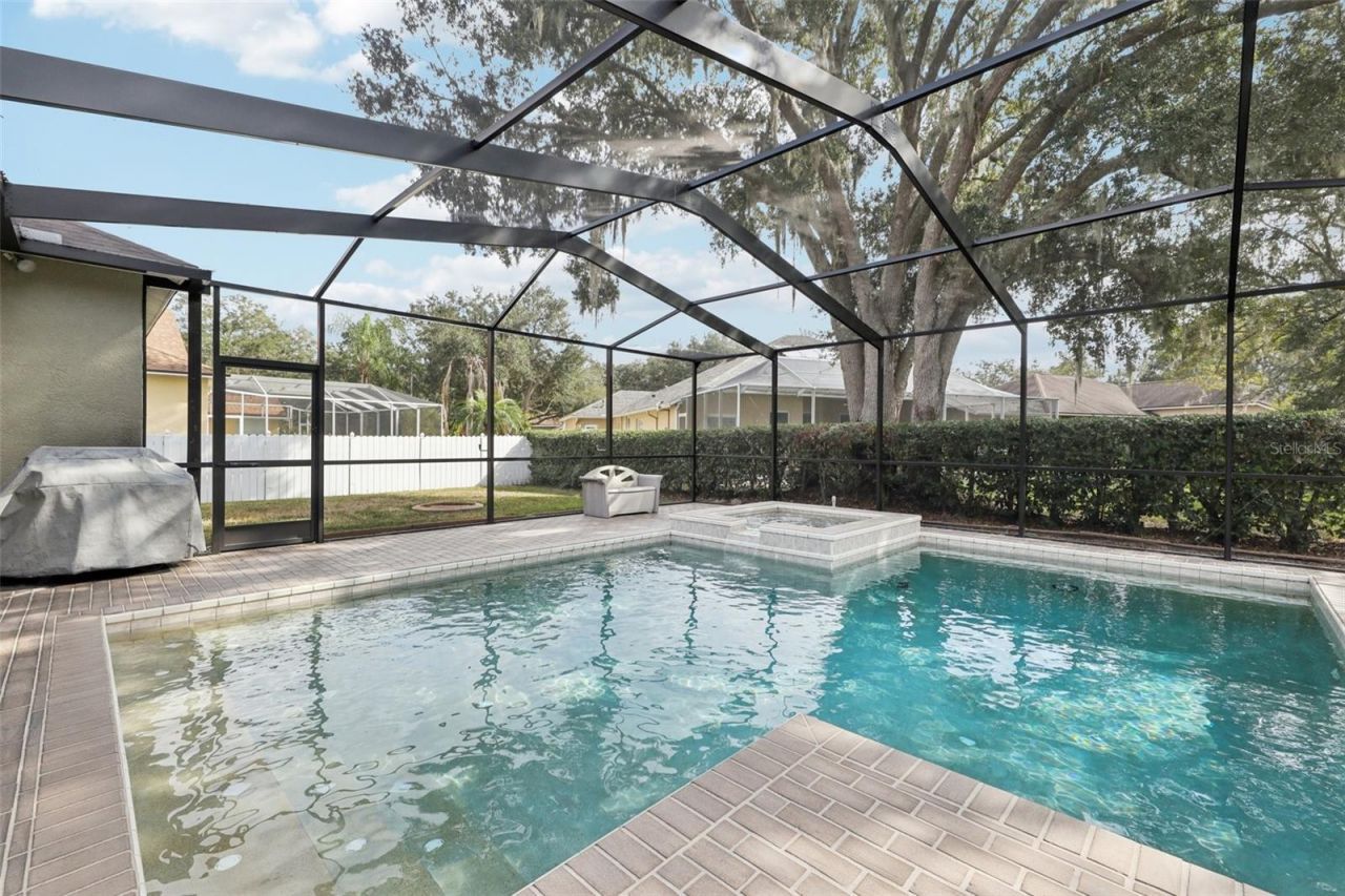 12606 River Birch Drive, Riverview, FL 33569 Photo