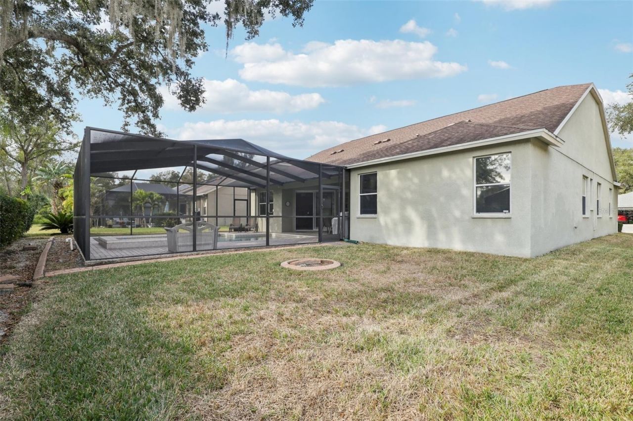 12606 River Birch Drive, Riverview, FL 33569 Photo