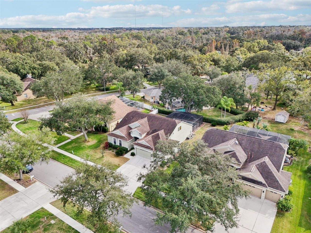 12606 River Birch Drive, Riverview, FL 33569 Photo