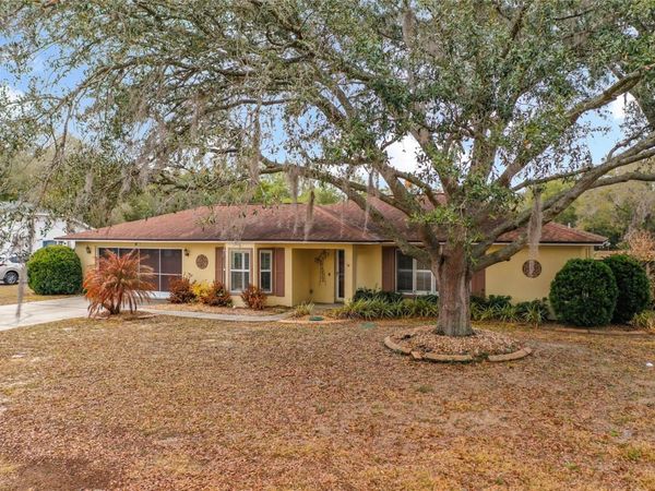 817 BERRYHILL CIRCLE, FRUITLAND PARK, FL 34731