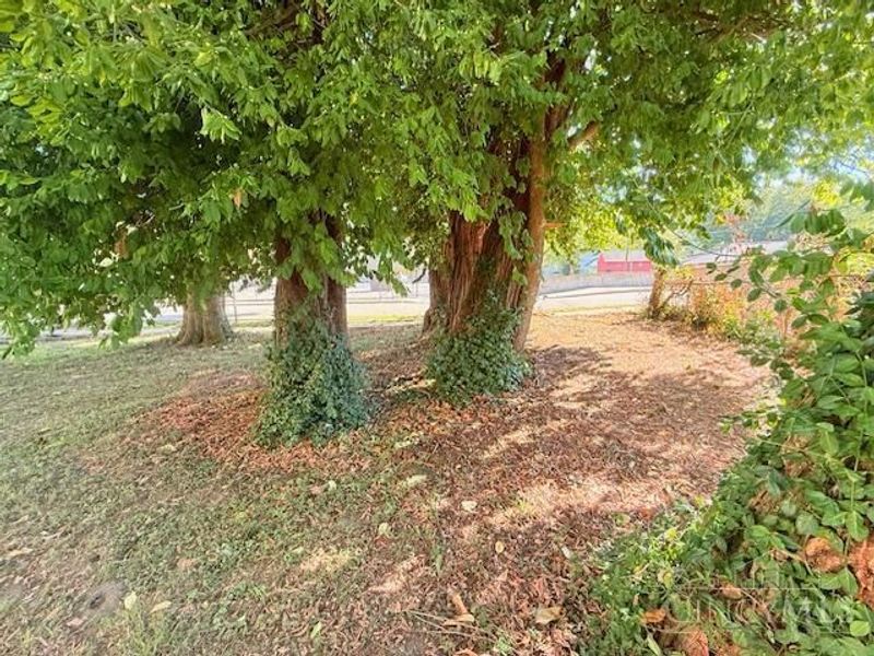 401 W Porter Street, Cleves, OH 45002 Photo 16