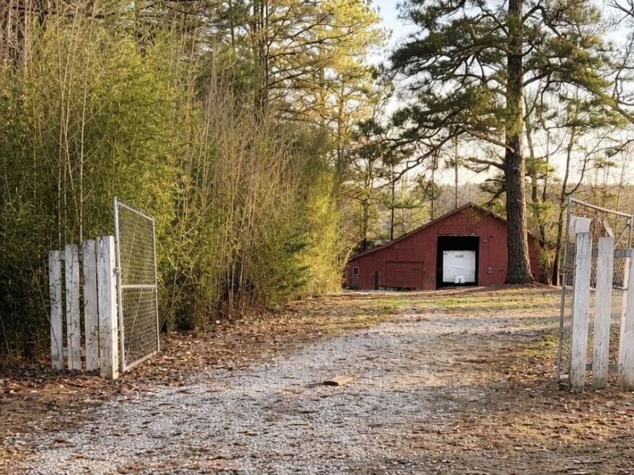 Property Image 11