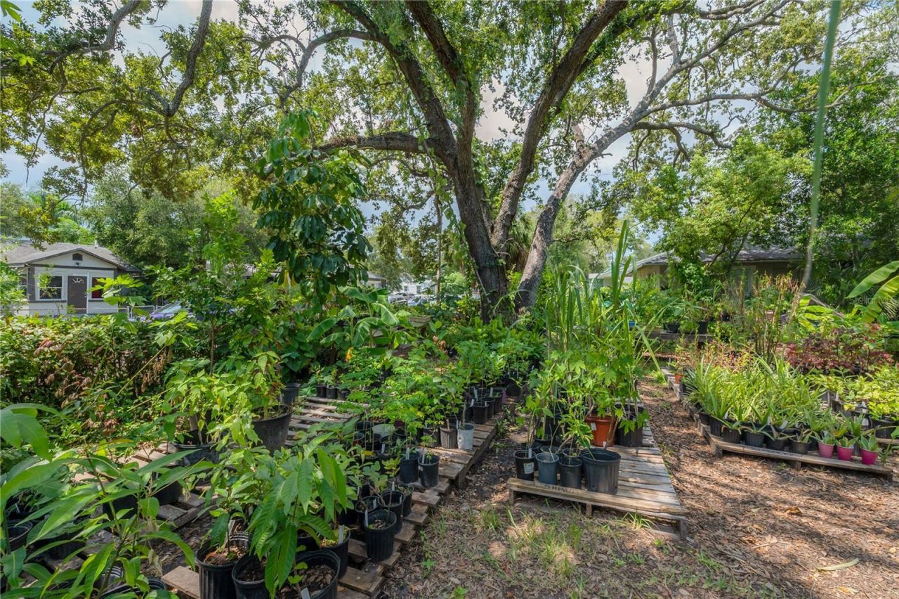 655 Paris Avenue S, Saint Petersburg, FL 33701 Photo