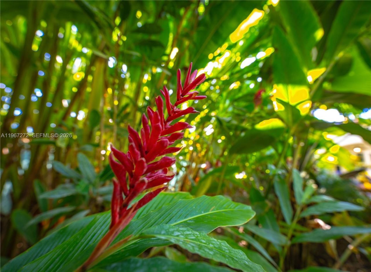 4867 SW 82nd St , Miami, FL 33143 Photo