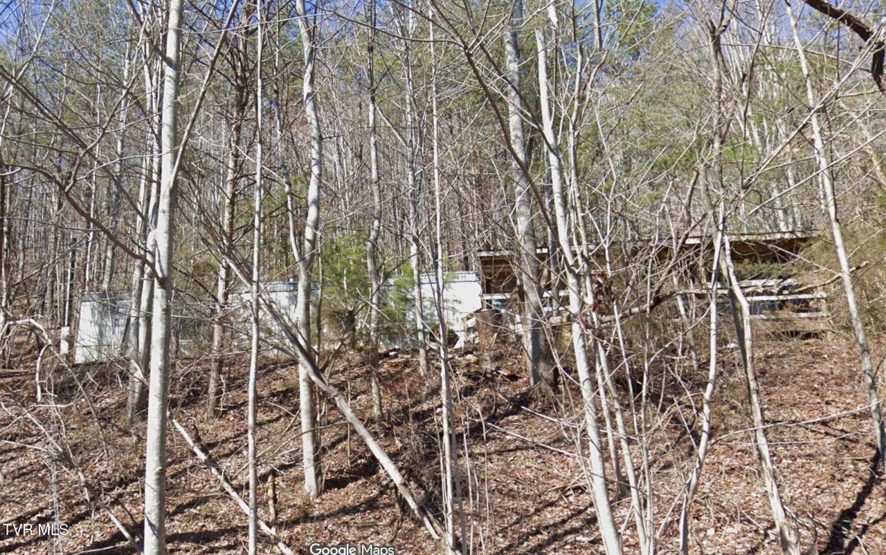 1365 Stone Mountain Road, Bulls Gap, TN 37711 Main Photo