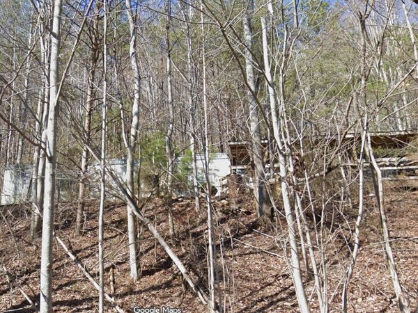1365 Stone Mountain Road, Bulls Gap, TN 37711
