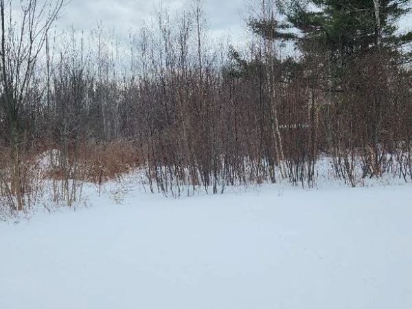 0 Country Lane , Lagrange, ME 04453