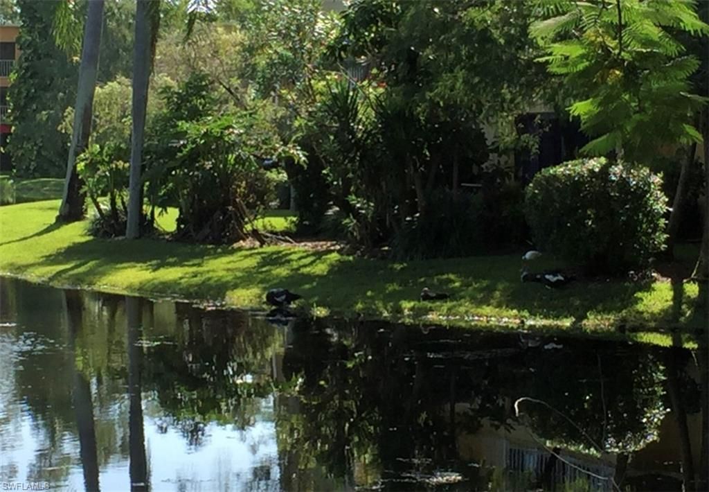 1645 Spoonbill Ln, Unit C, Naples, FL 34105 Photo