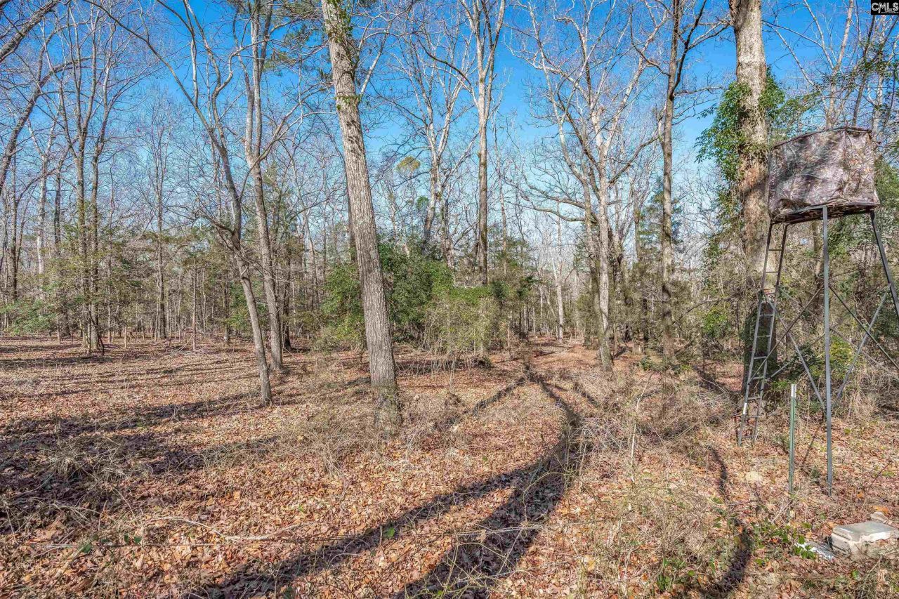 3600 Kennerly Road Photo 31