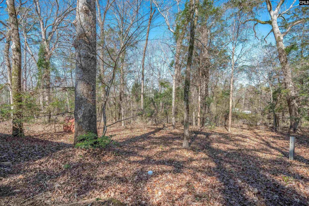 3600 Kennerly Road Photo 32