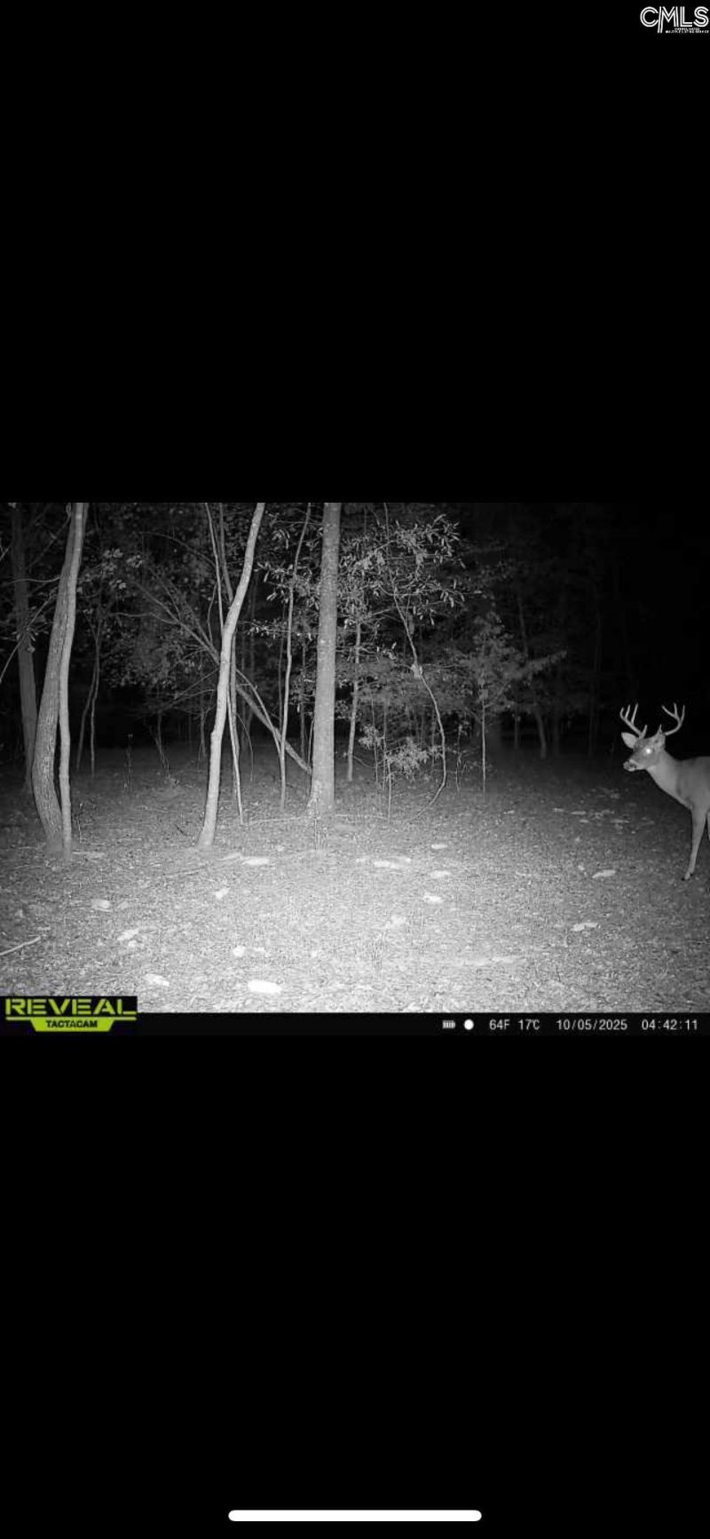 3600 Kennerly Road Photo 37