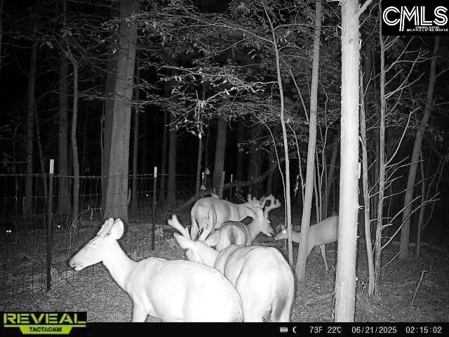 3600 Kennerly Road Photo 9