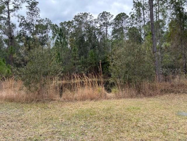 1720 Cassidy Drive, Saint Cloud, FL 34771 Photo