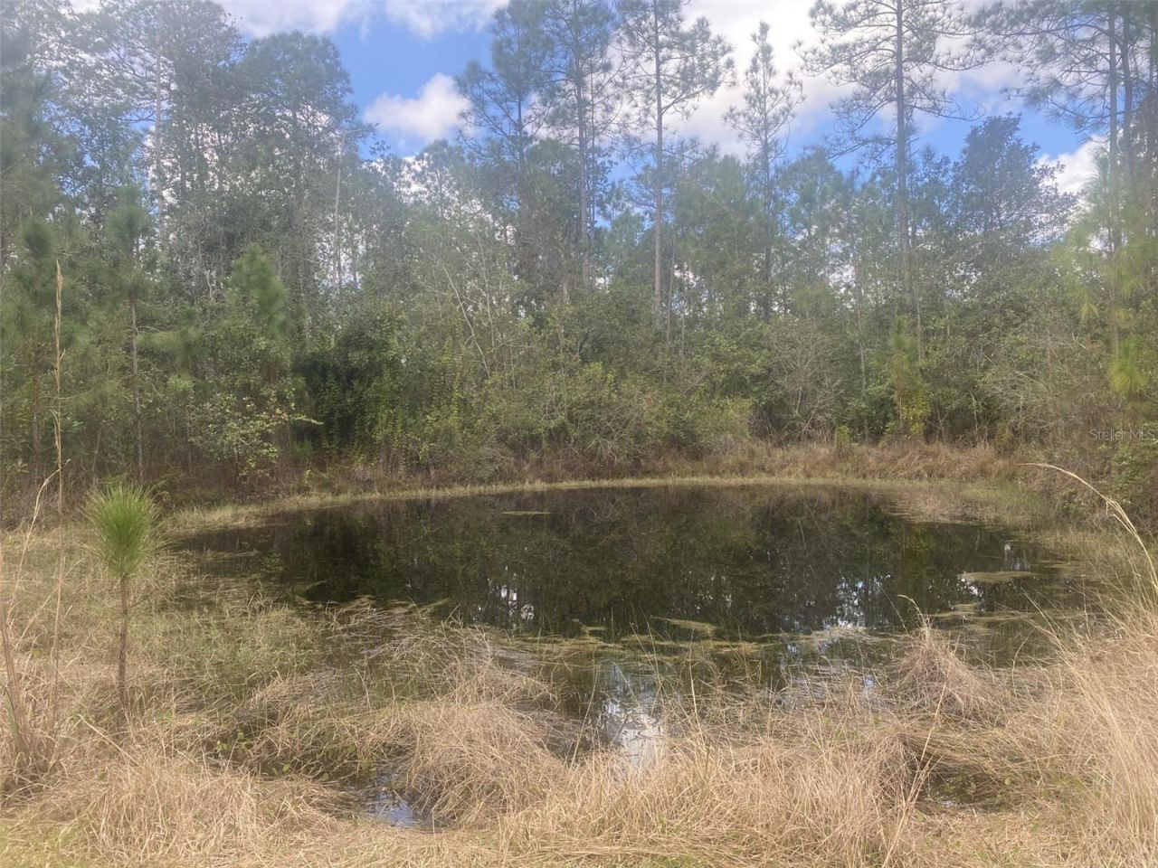 1720 Cassidy Drive, Saint Cloud, FL 34771 Photo