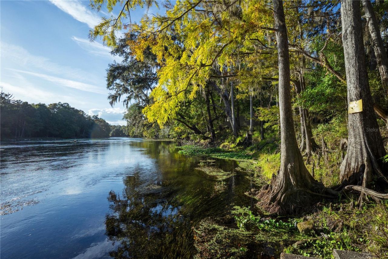 Blue Bird Court Sw, Fort White, FL 32038 Photo