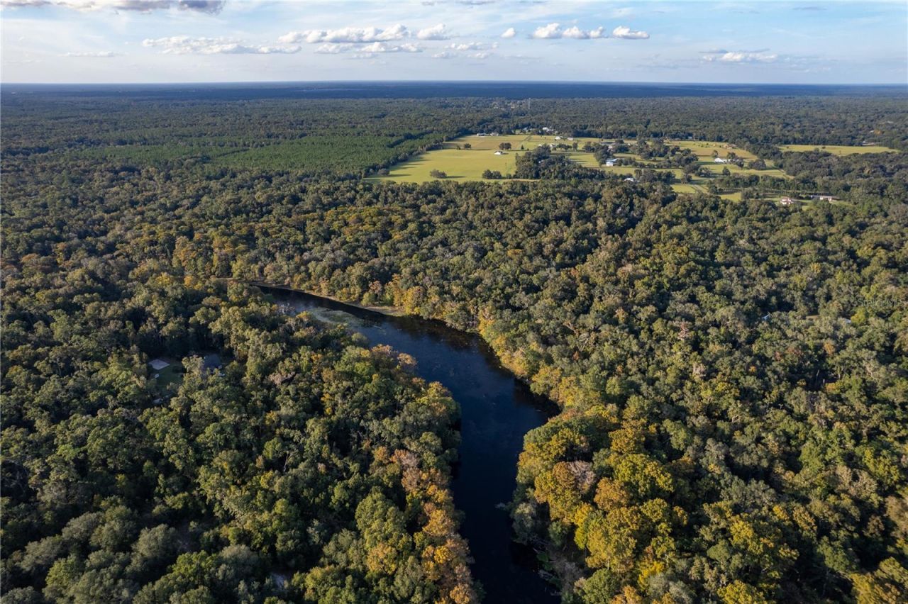 Blue Bird Court Sw, Fort White, FL 32038 Photo
