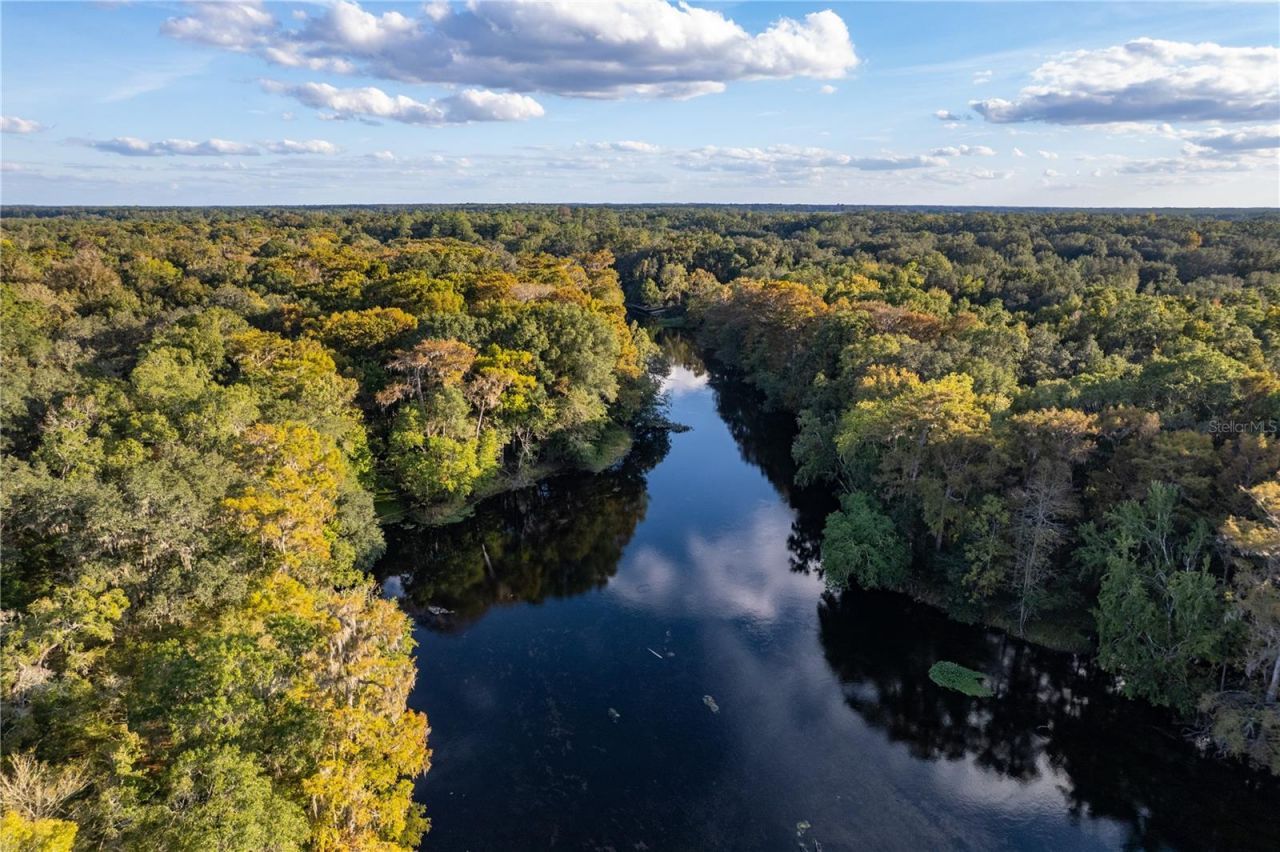 Blue Bird Court Sw, Fort White, FL 32038 Photo