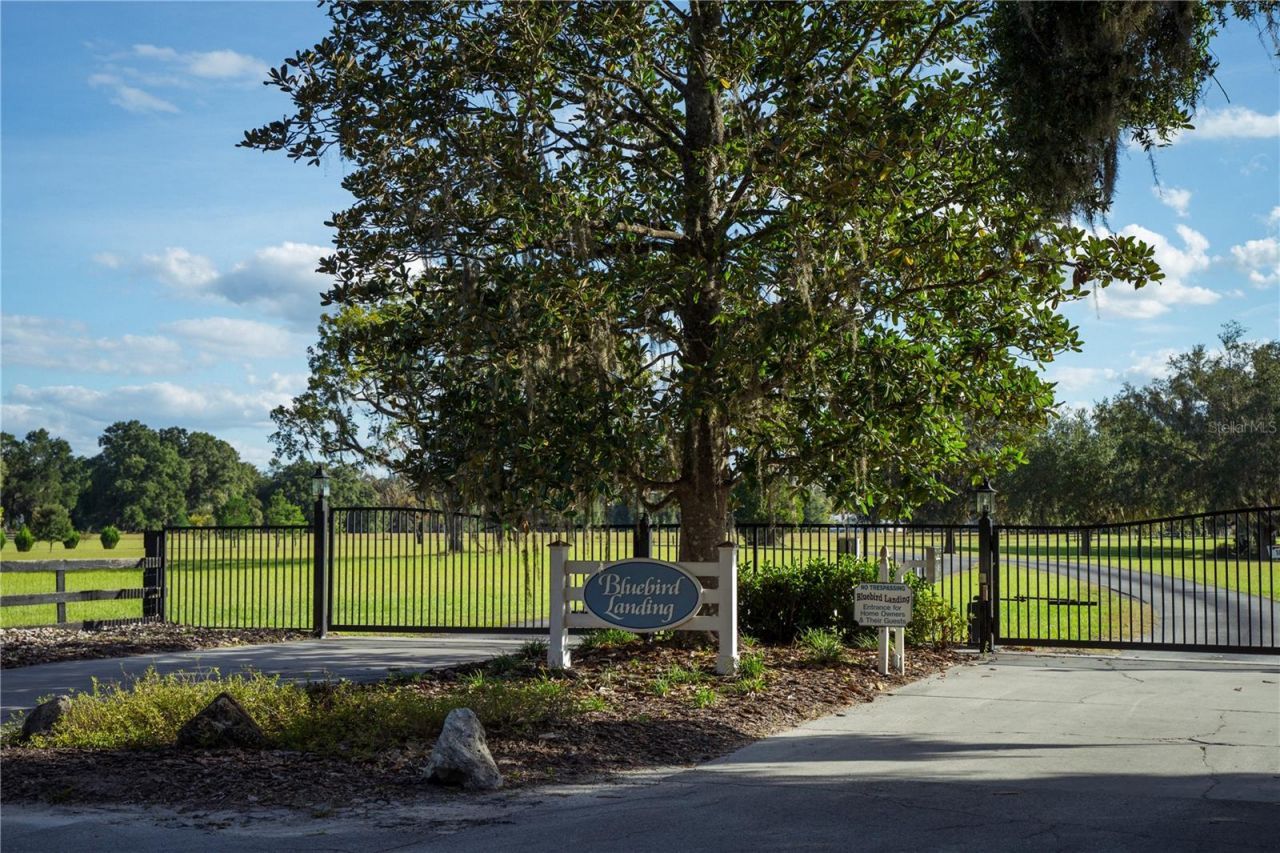 Blue Bird Court Sw, Fort White, FL 32038 Photo