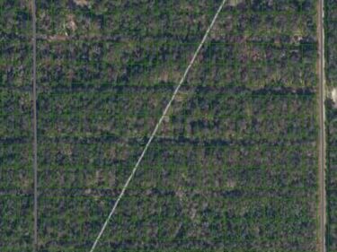 216 Mandarin Ave, Georgetown, FL 32139