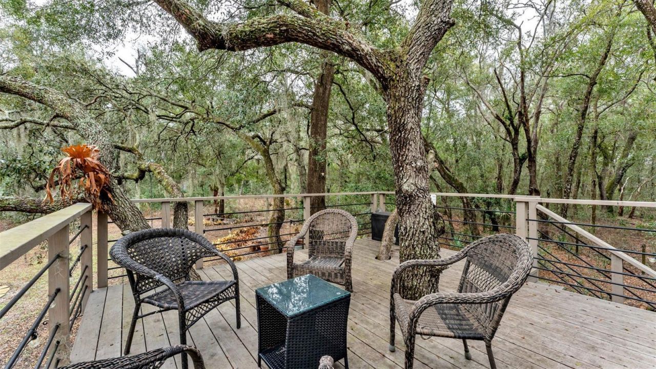 422 E Mccormick Road, Apopka, FL 32703 Photo