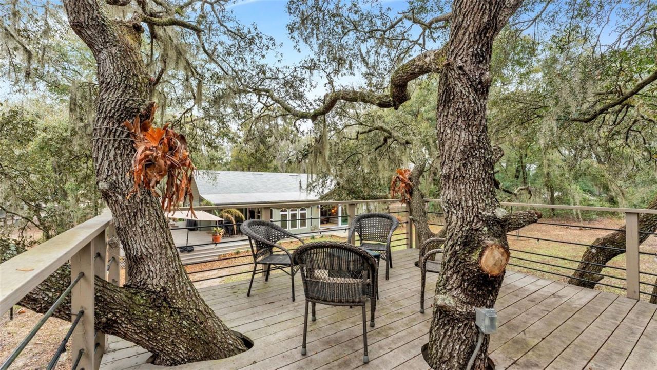 422 E Mccormick Road, Apopka, FL 32703 Photo