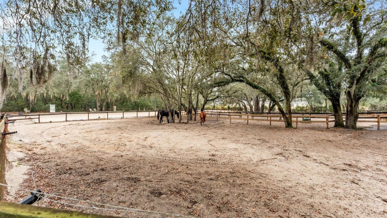 422 E Mccormick Road, Apopka, FL 32703 Photo