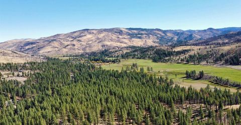 50 Canon View, Markleeville, CA 92106 Photo