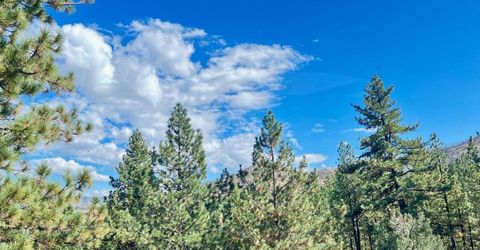 50 Canon View, Markleeville, CA 92106 Photo