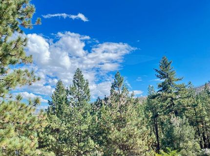 50 Canon View, Markleeville, CA 92106 Photo