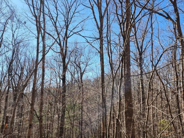 20 Devon Loop, Crossville, TN 38558