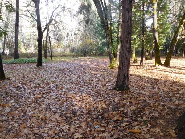 424 W Lister Street, Cave Junction, OR 97523