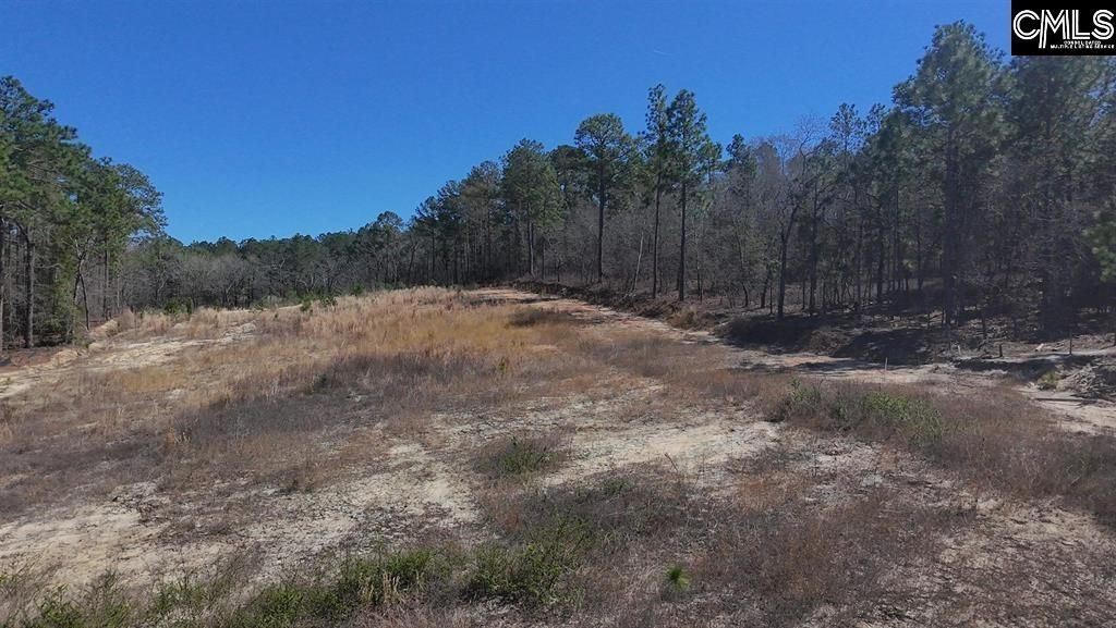 699 Crystal Springs Drive  Photo 4