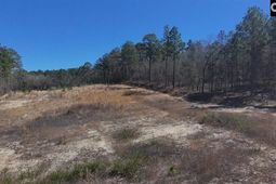 699 Crystal Springs Drive  photo 4