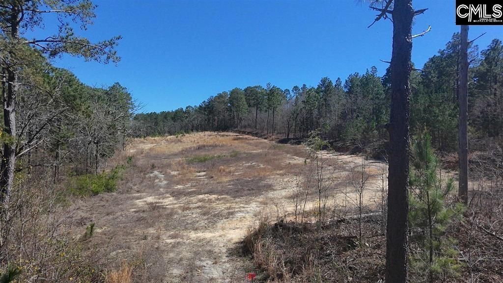 699 Crystal Springs Drive  Photo 5