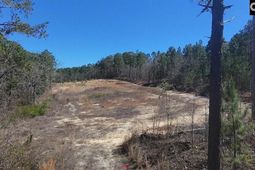 699 Crystal Springs Drive  photo 4