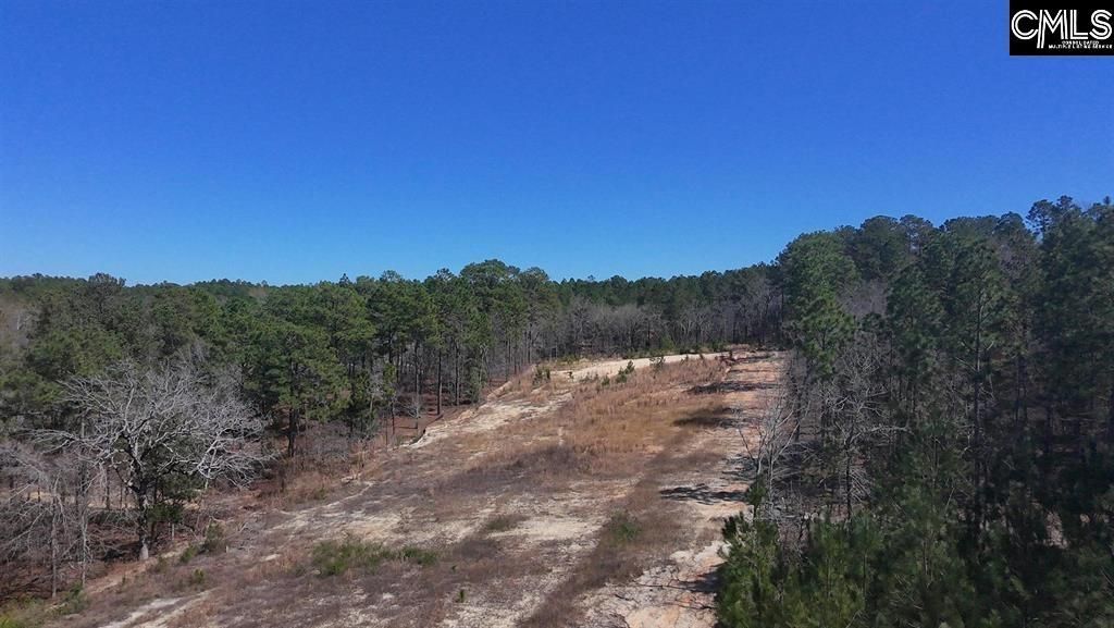 699 Crystal Springs Drive  Photo 6