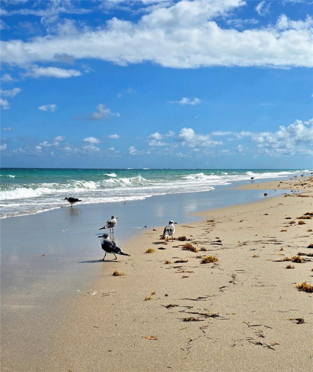 10175 Collins Ave, Unit 208, Bal Harbour, FL 33154 Photo