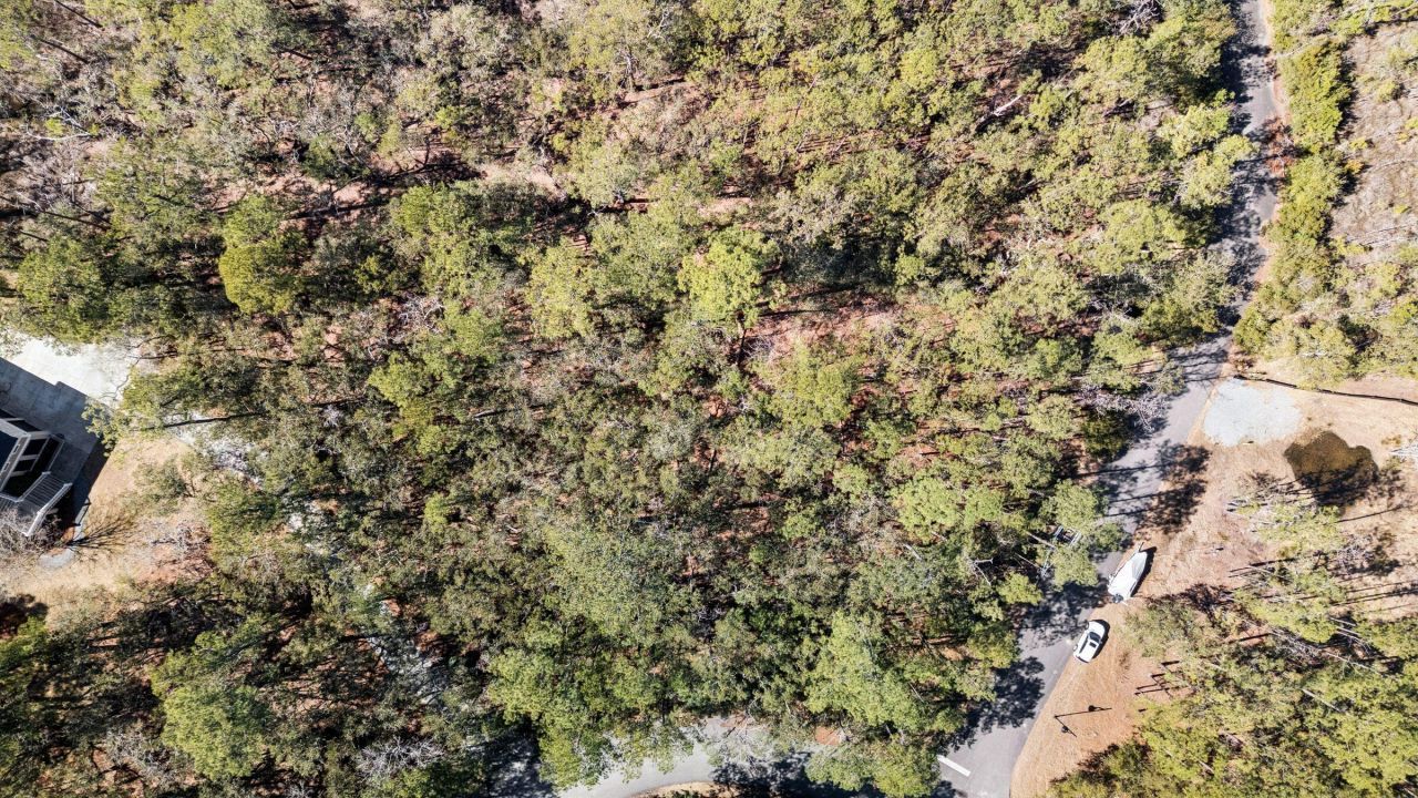 1440 Headquarters Plantation Drive Photo 14