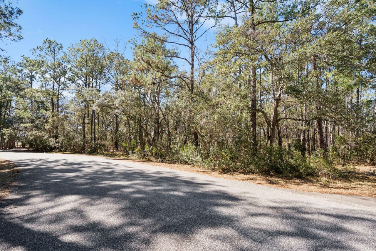 1440 Headquarters Plantation Drive Photo 15