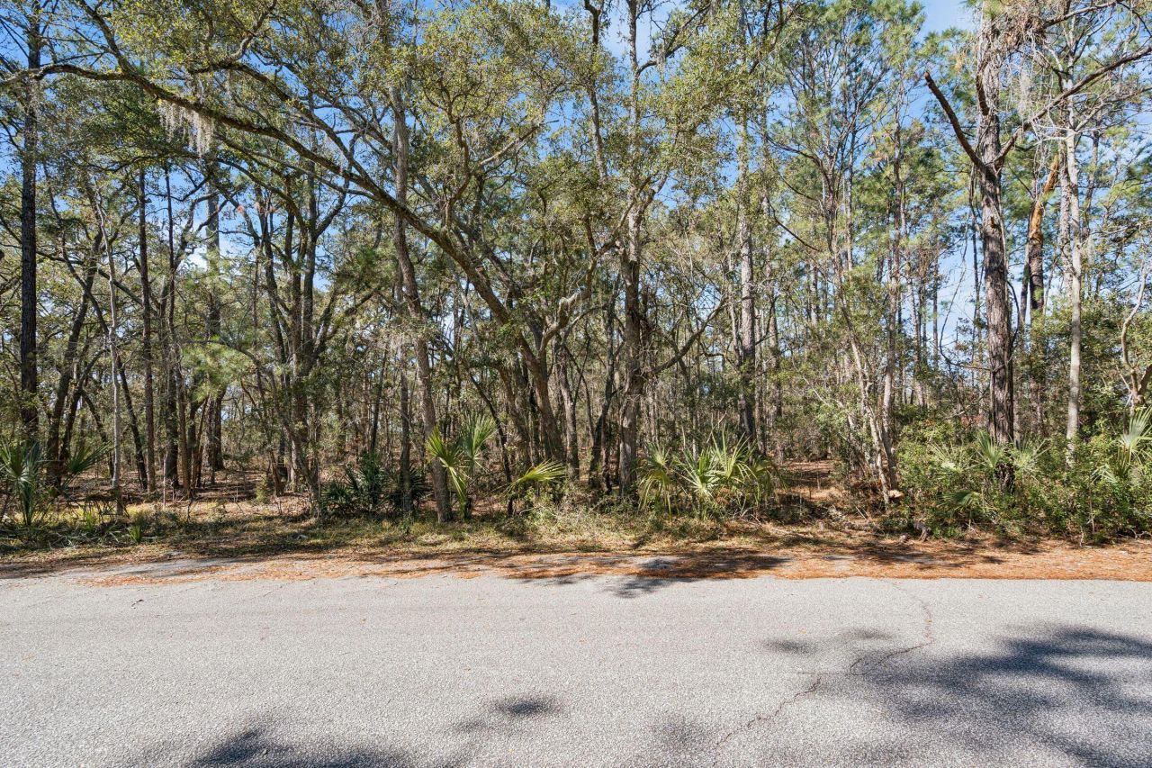 1440 Headquarters Plantation Drive Photo 16