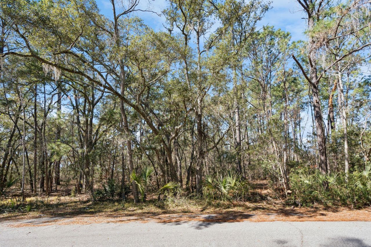 1440 Headquarters Plantation Drive Photo 17