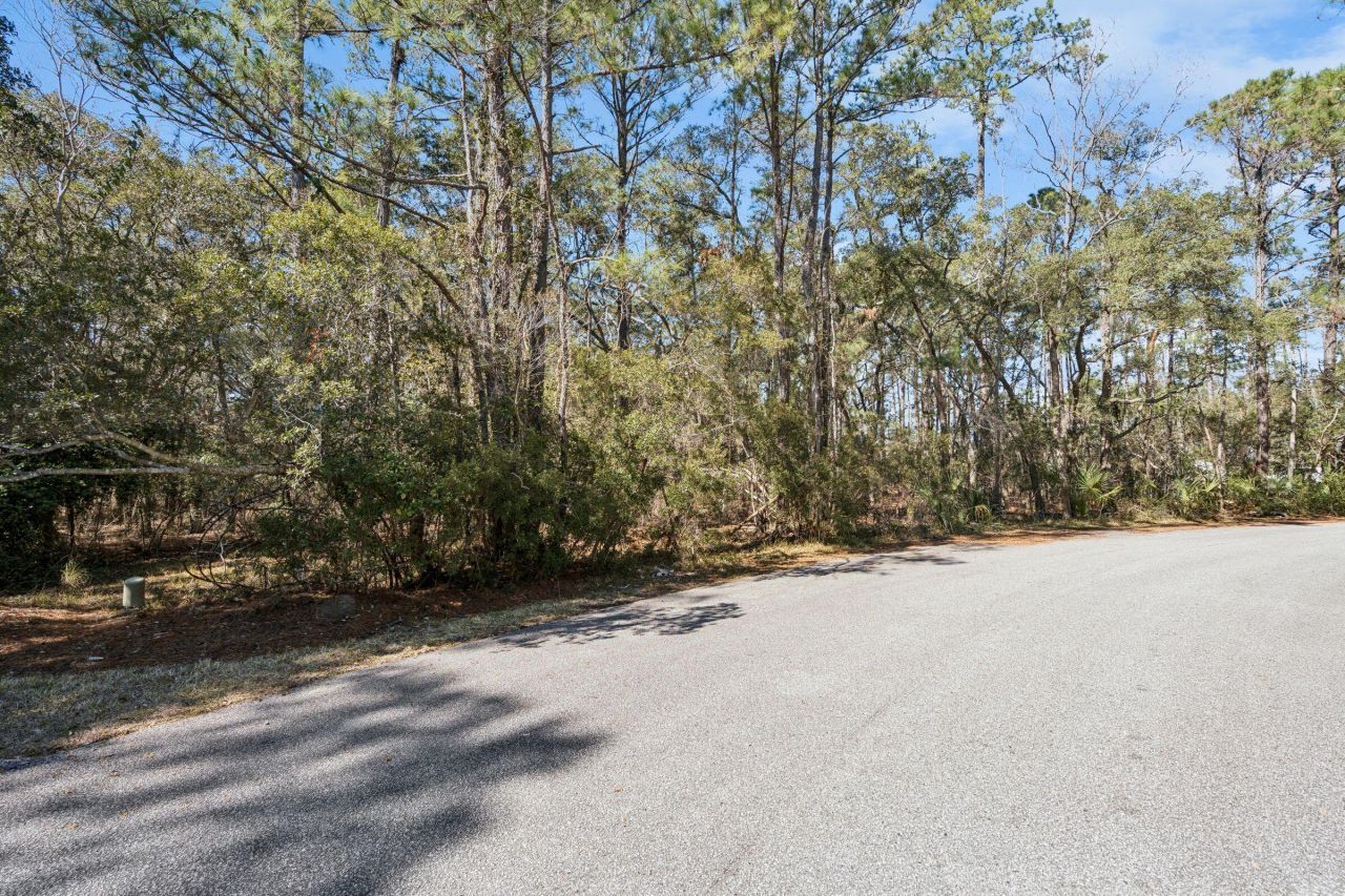 1440 Headquarters Plantation Drive Photo 18