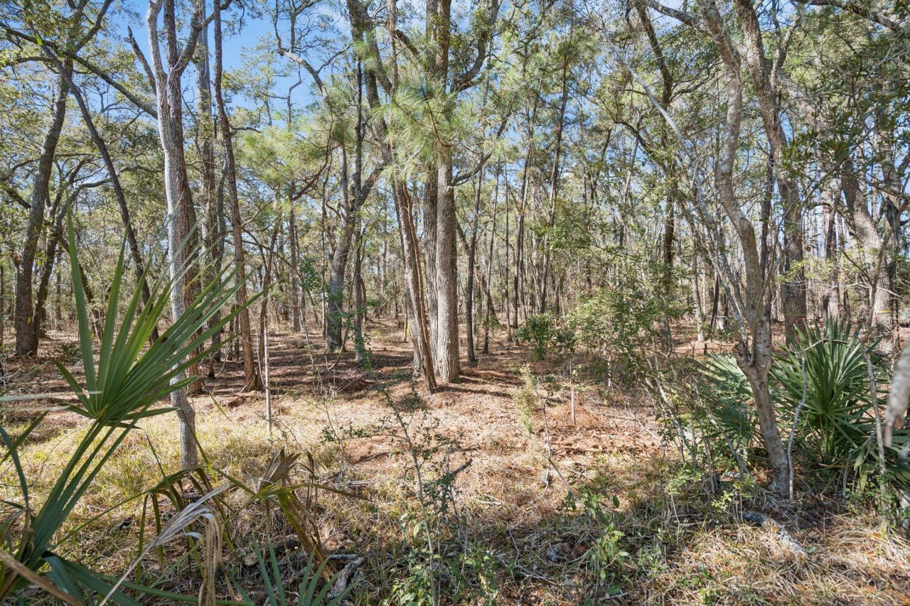 1440 Headquarters Plantation Drive Photo 19