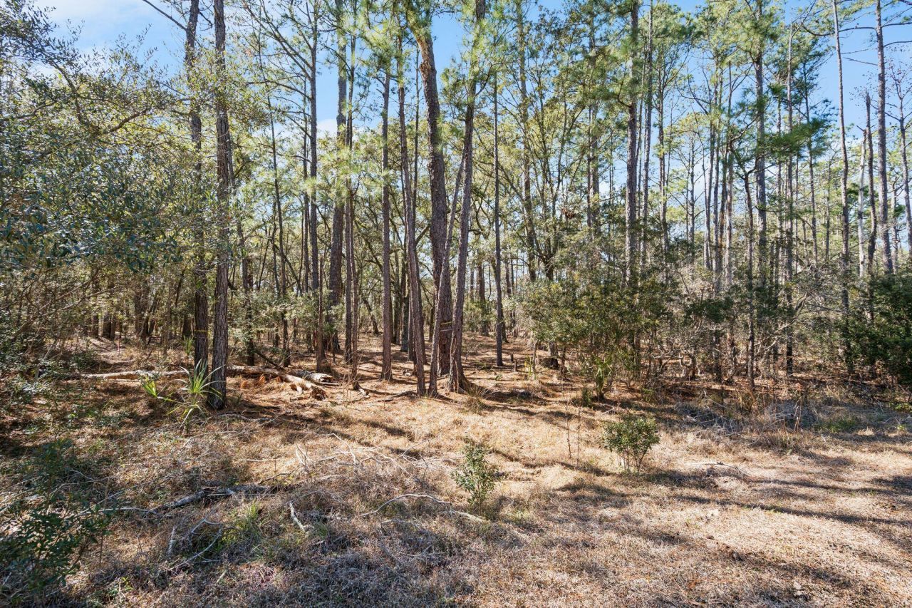 1440 Headquarters Plantation Drive Photo 20