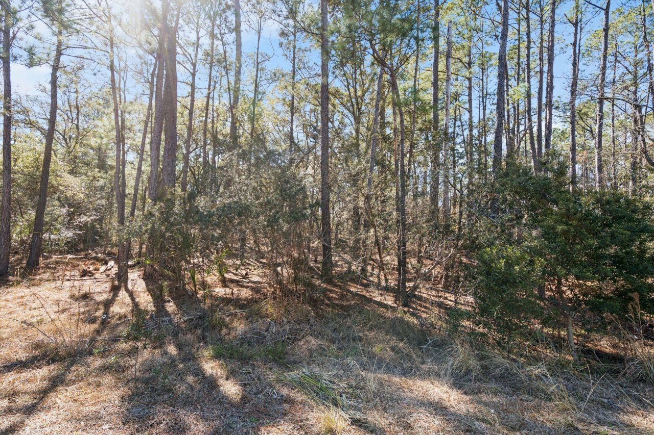 1440 Headquarters Plantation Drive Photo 22