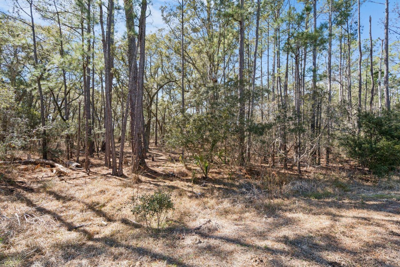 1440 Headquarters Plantation Drive Photo 24