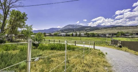 150 Old Washoe Drive, Washoe Valley, NV 89704 Photo