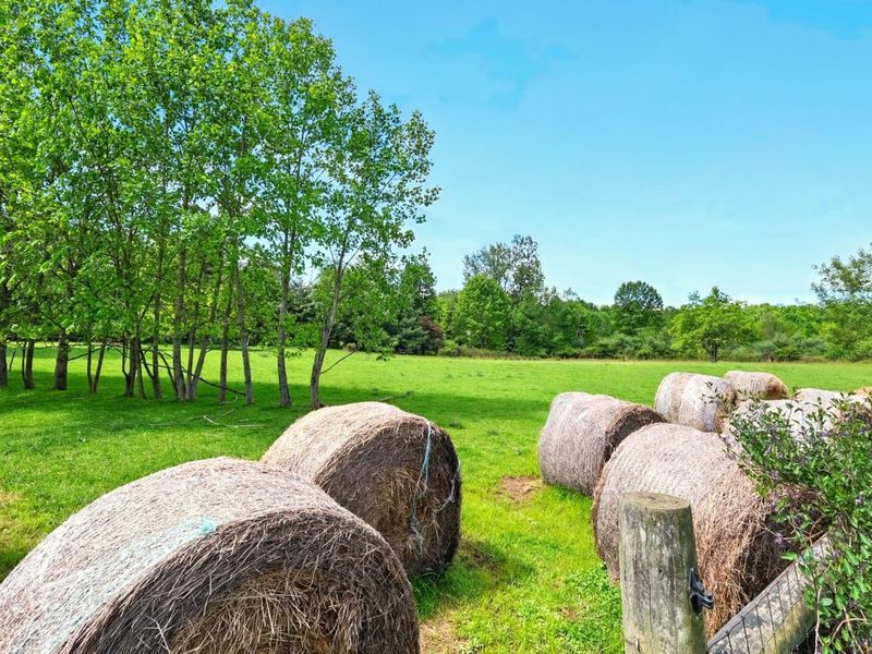 7595 Co Rd 19, Fredericktown, OH 43019 Photo 23