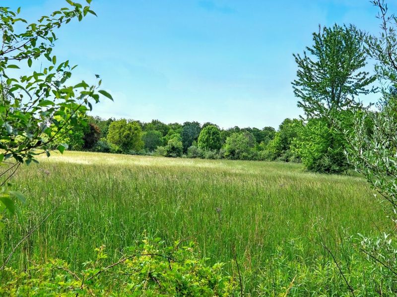 7595 Co Rd 19, Fredericktown, OH 43019 Photo 24